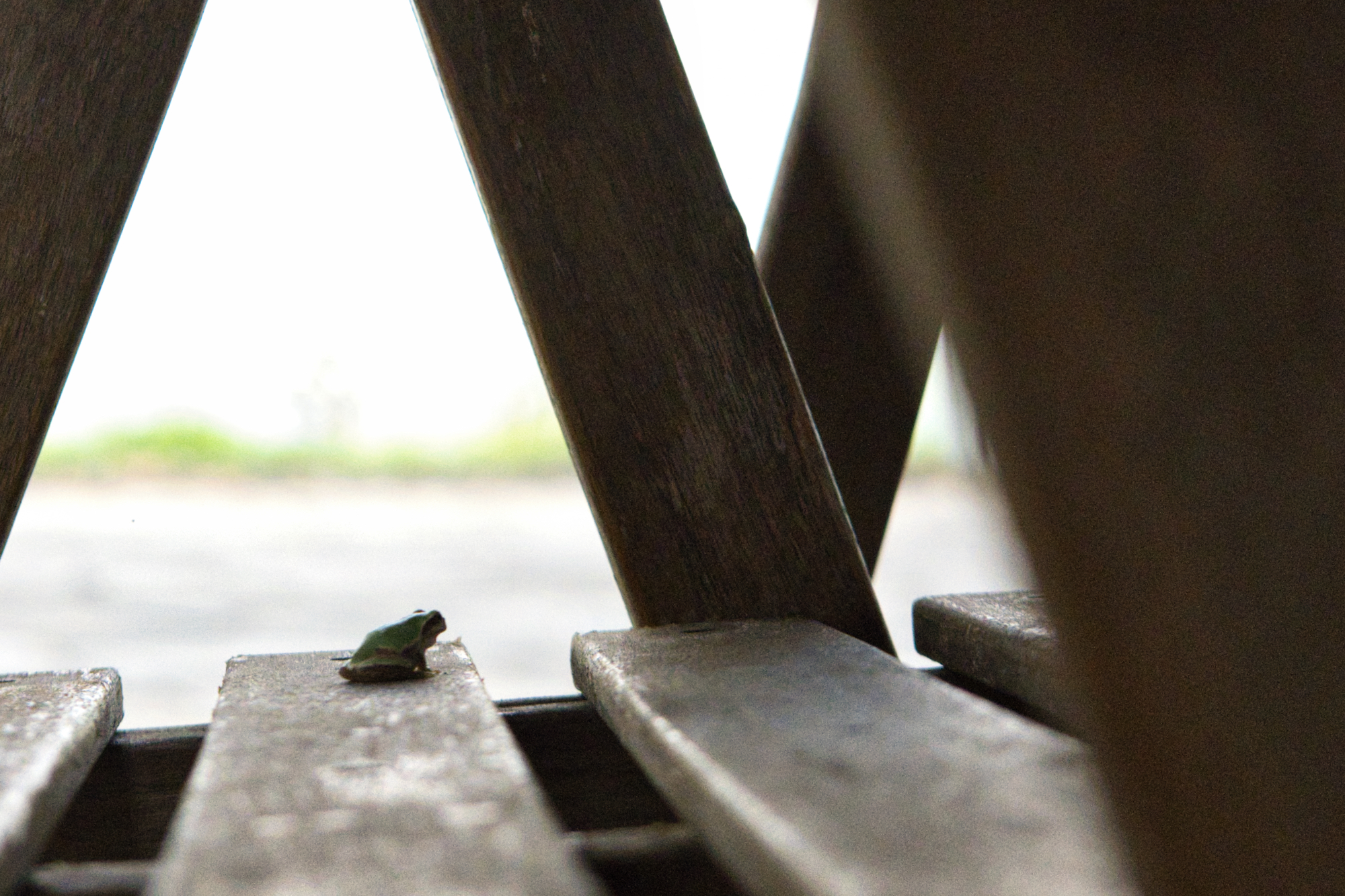 drying up…